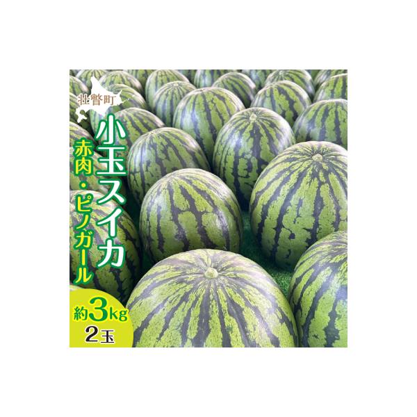 ■お礼品詳細　・内容量：2玉　約3kg■お申し込み・配送・その他　・発送時期：8月上旬〜8月末頃まで　・申込受付期間：2026年8月5日まで　・配達外のエリア：離島、沖縄県　・寄付証明書の送付時期目安：申込完了日から２週間程度　・提供元：壮瞥町
