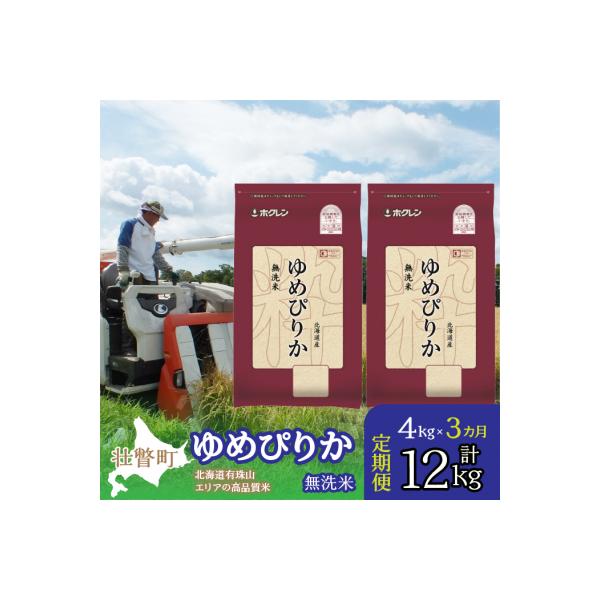 壮瞥町 🎊 【令和6年産米】【5ヶ月定期配送】(無洗米600g)ホクレンゆめぴりか 【MSG無添加】 SBTD154