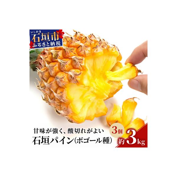 ■お礼品詳細■お申し込み・配送・その他　・発送時期：2026年5月初旬〜6月初旬の発送予定になります。天候等により変動する可能性もございます。（お届け時間帯指定可）　・申込受付期間：2026年6月30日までお受けしております。※無くなり次第...