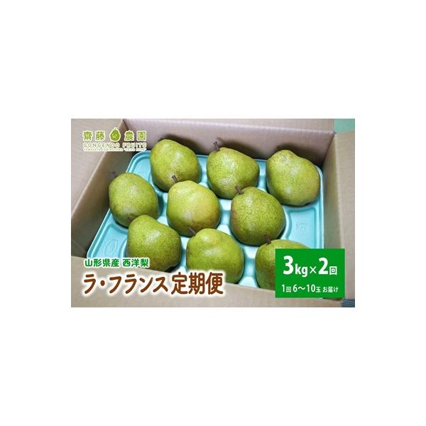 ■お礼品詳細　・配送方法：通常便　・事業者：齋藤農園■お申し込み・配送・その他　・発送時期：◆1回目:2025年10月下旬〜11月中旬(常温)◆2回目:2025年11月下旬〜12月上旬(常温)※ご不在日が多く配達が困難な場合、お礼品や配送先...