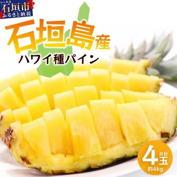 ■お礼品詳細　・配送方法：常温便■お申し込み・配送・その他　・発送時期：2026年6月上旬頃から順次発送いたします。（お届け時間帯指定可）　・申込受付期間：※2026年6月中旬頃まで受付いたしております。　・配達外のエリア：　・寄付証明書の...