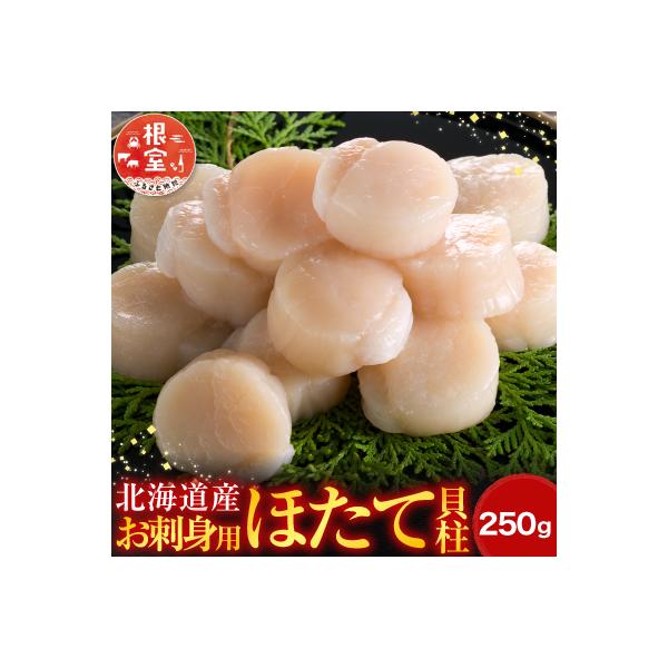 ふるさと納税 根室市 ＼漁業者応援品/ 刺身用ほたて貝柱250g G-14052