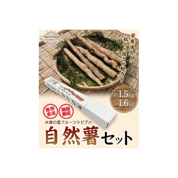 ■お礼品詳細■お申し込み・配送・その他　・発送時期：2026年11月中旬‐12月末頃出荷　・申込受付期間：通年　・配達外のエリア：　・寄付証明書の送付時期目安：申込完了日から２週間程度　・提供元：矢掛町