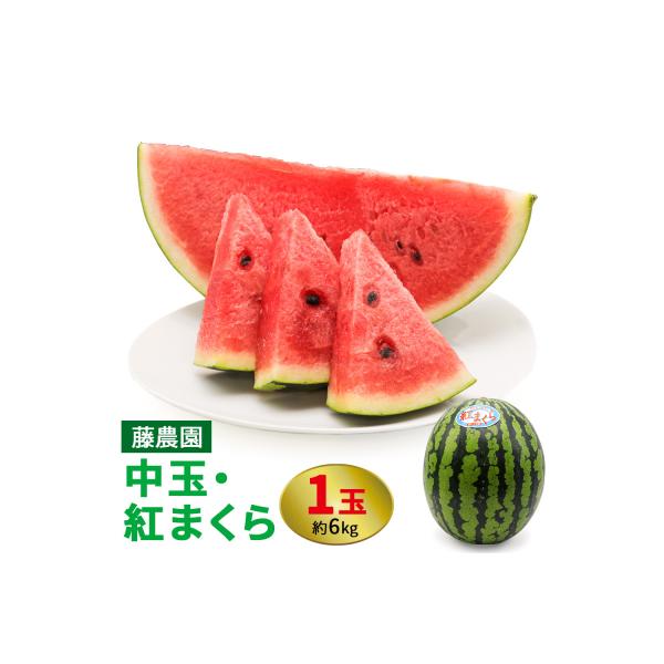 ■お礼品詳細　・内容量：1玉:約6kg　・消費期限：発送日より6日※お早めにご賞味ください。　・配送便：通常便■お申し込み・配送・その他　・発送時期：発送期間:2026年7月下旬から2026年8月中旬まで順次発送(天候や収穫状況によって発送...