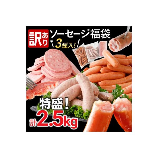 ふるさと納税 古賀市 訳あり!ソーセージ食べ比べまんぷく福袋 合計2.5kg
