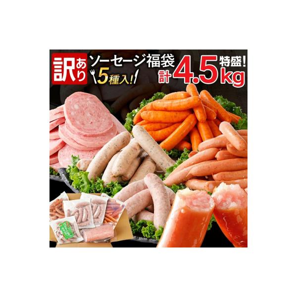 ふるさと納税 古賀市 訳あり!特盛!ソーセージ食べ比べまんぷく福袋 合計4.5kg