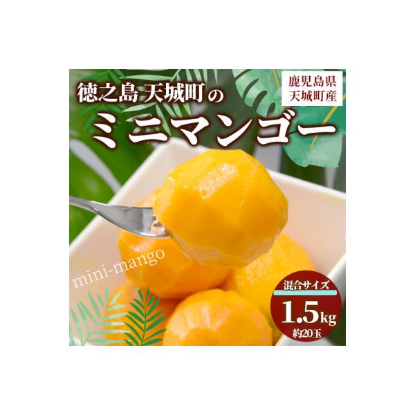 ふるさと納税 天城町 【数量限定】【ご家庭用】徳之島 天城町産