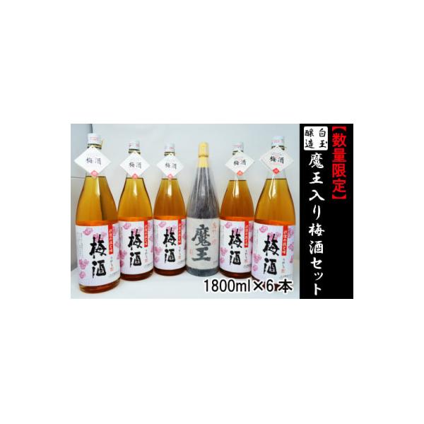 ふるさと納税 錦江町 【数量限定】白玉醸造 魔王入り梅酒セット 4026-4