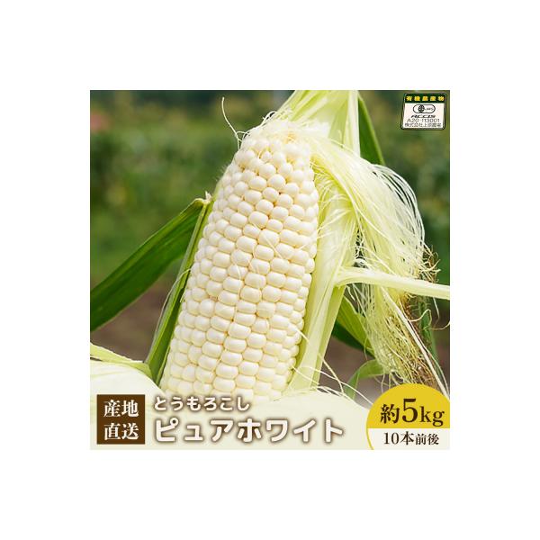 ■お礼品詳細　・賞味・消費・使用期限：消費期限:チルド　発送日+2〜3日程度　・原産地：北海道中標津町　・保存方法：冷蔵　・配送方法：冷蔵　・提供事業者：株式会社上原農場■お申し込み・配送・その他　・発送時期：8月中旬から9月下旬発送（お届...