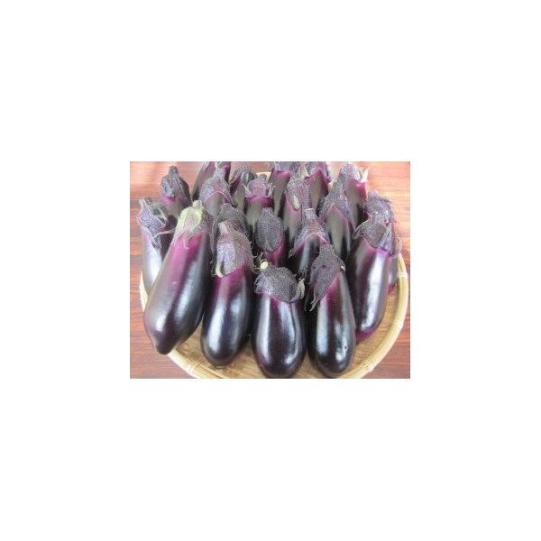 ■お礼品詳細■お申し込み・配送・その他　・発送時期：入金確認後、2025年10月下旬から順次、発送いたします。（お届け時間帯指定可）　・申込受付期間：数量限定で受付しています。　・配達外のエリア：離島、北海道、沖縄県　・寄付証明書の送付時期...