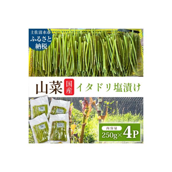 ふるさと納税 土佐清水市 山菜 イタドリの塩漬け 250g×4パック(1kg)下