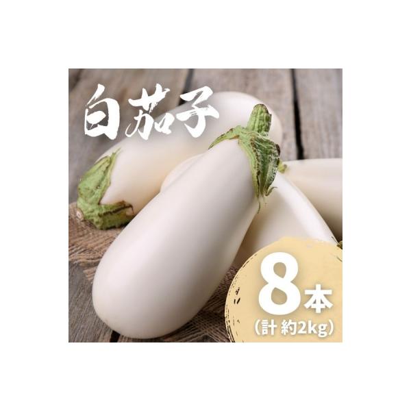 ■お礼品詳細　・お礼品提供元：土佐の美味茄子　・配送方法：通常（常温便）　/　クロネコヤマト■お申し込み・配送・その他　・発送時期：※7月〜8月は苗の入れ替え、作付け期間となるため発送ができません。恐れ入りますが、6月〜8月の間にご寄附いた...