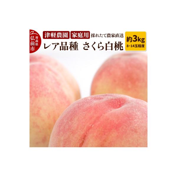 ■お礼品詳細　・配送温度帯：常温　・配送不可地域：沖縄県■お申し込み・配送・その他　・発送時期： 9月上旬〜9月中旬を目安に発送 ※年末年始、長期休業や申込が殺到した際は、発送が遅れる場合がございます。（お届け時間帯指定可）　・申込受付期間...