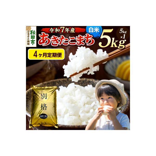 ふるさと納税返礼品　秋田県産　あきたこまち 5kg×4 20kg 農家直送 ふるさと納税返礼品秋田県産あきたこまち 5kg×4 20kg 農家直送