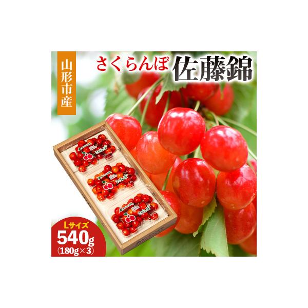 ■お礼品詳細　・配送方法：冷蔵　・事業者名：株式会社　丸勘山形青果市場■お申し込み・配送・その他　・発送時期：2026年06月01日頃〜2026年06月30日頃※状況により配送時期が前後する場合がございます。(着日指定不可)※山形市では仕様...