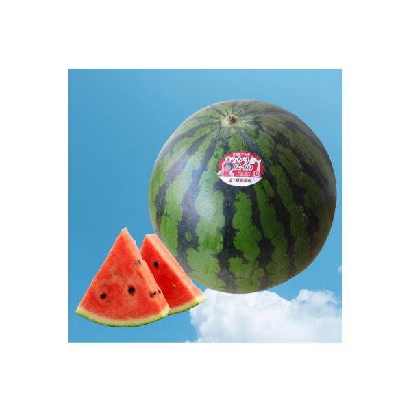 ■お礼品詳細　・配送方法：通常配送　・提供事業者：大魚株式会社　むつ総合卸売市場■お申し込み・配送・その他　・発送時期：2026年8月1日から8月25日まで期間限定発送※九州・沖縄および離島にはお届けできません　・申込受付期間：〜2026年...