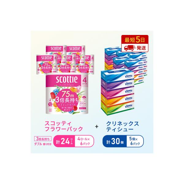 ふるさと納税 岩沼市 ティッシュ+トイレットペーパー6P   [No.5704-1780]