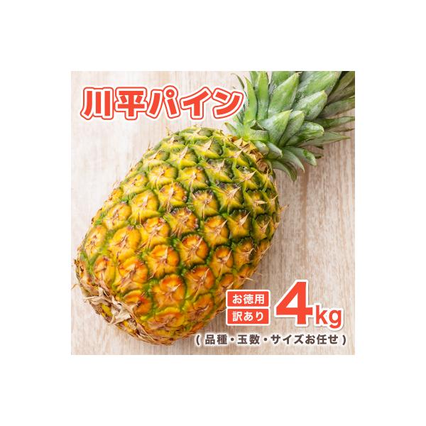 ■お礼品詳細　・内容量：訳あり4kg (品種・玉数・サイズお任せ)　・配送方法：冷蔵　・事業者：川平マエタケ農園　・賞味期限：出荷日+7日■お申し込み・配送・その他　・発送時期：2026年7月以降順次発送いたします。　・申込受付期間：通年　...