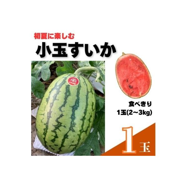 ■お礼品詳細　・賞味期限：常温で7日　・事業者：山中農園　・配送方法：常温■お申し込み・配送・その他　・発送時期：5月下旬〜6月上旬（お届け時間帯指定可）　・申込受付期間：期間限定　・配達外のエリア：　・寄付証明書の送付時期目安：申込完了日...