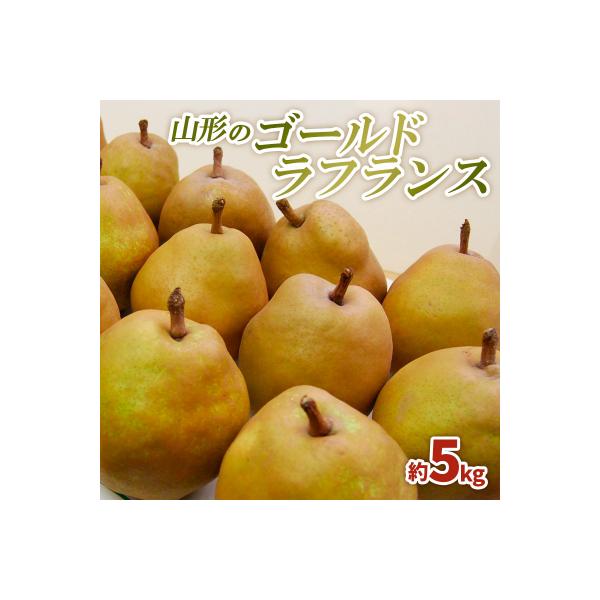 ■お礼品詳細　・配送方法：常温　・事業者名：株式会社スプリングス■お申し込み・配送・その他　・発送時期：2026年11月01日頃〜2026年12月31日頃※状況により配送時期が前後する場合がございます。(着日指定不可)※山形市では仕様上、お...