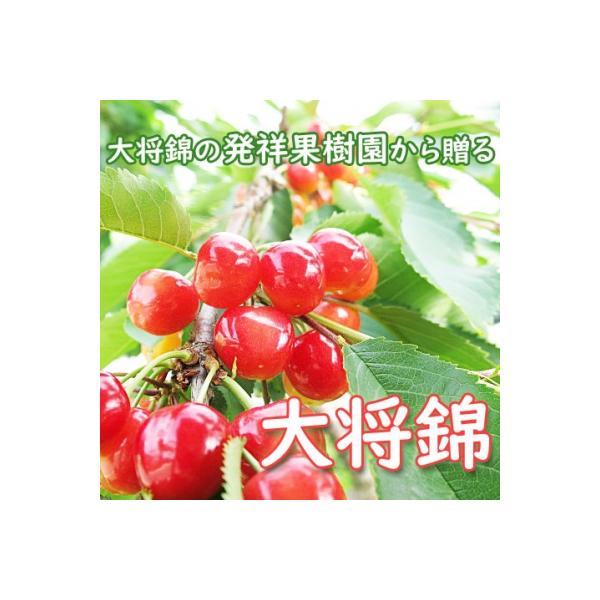 ■お礼品詳細　・配送方法：冷蔵便　・事業者：有限会社 上山観光フルーツ園■お申し込み・配送・その他　・発送時期：2026年7月上旬〜7月中旬迄※ご不在日が多く配達が困難な場合、お礼品や配送先の変更をお願いする場合がございます。 　・申込受付...