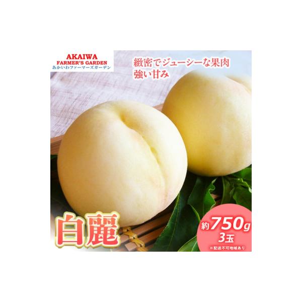 ■お礼品詳細　・配送方法：通常便■お申し込み・配送・その他　・発送時期：2026年8月上旬〜2026年8月中旬　・申込受付期間：2026年7月31日まで　・配達外のエリア：離島　・寄付証明書の送付時期目安：申込完了日から1〜2週間程度　・提...