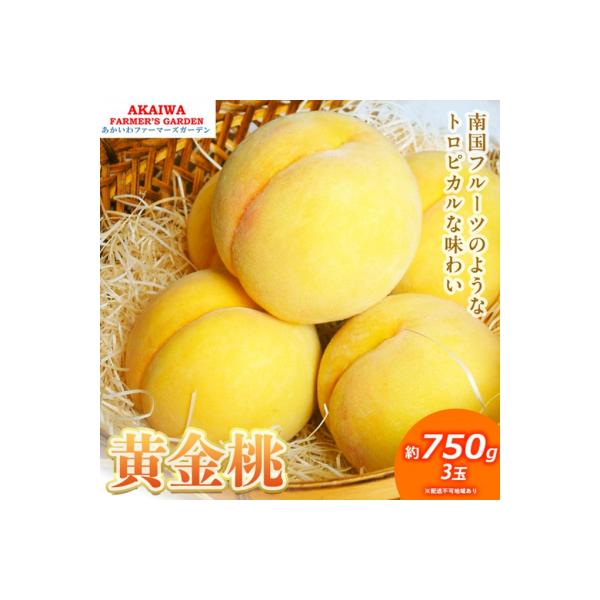 ■お礼品詳細　・配送方法：通常便■お申し込み・配送・その他　・発送時期：2026年8月下旬〜2026年9月上旬　・申込受付期間：2026年8月15日まで　・配達外のエリア：離島　・寄付証明書の送付時期目安：申込完了日から1〜2週間程度　・提...