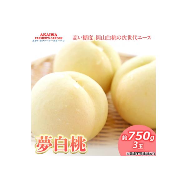 ■お礼品詳細　・配送方法：通常便■お申し込み・配送・その他　・発送時期：2026年7月下旬〜2026年8月中旬　・申込受付期間：2026年7月20日まで　・配達外のエリア：離島　・寄付証明書の送付時期目安：申込完了日から1〜2週間程度　・提...