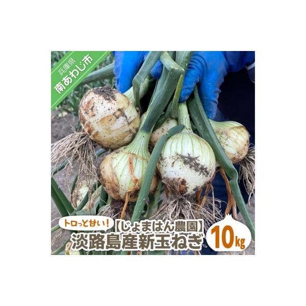 ■お礼品詳細■お申し込み・配送・その他　・発送時期：3月上旬から5月頃にかけて、お申込みをいただいた順に発送予定　※天候等により、前後する場合があります。（お届け時間帯指定可）　・申込受付期間：期間限定　★4月30日まで　・配達外のエリア：...