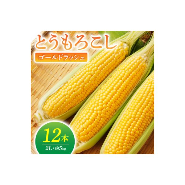 ■お礼品詳細　・内容量：12本（約5kg） 2Lサイズ　・消費期限：冷蔵保存で１週間程度　・保存方法：お受け取り後はすぐに冷蔵保存し、なるべく早くお召し上がりください　・発送期日：2026年8月上旬〜9月中旬。 8月上旬から順次発送します　...