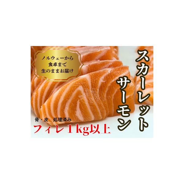 ふるさと納税 熊谷市 生スカーレットサーモン(アトランティック