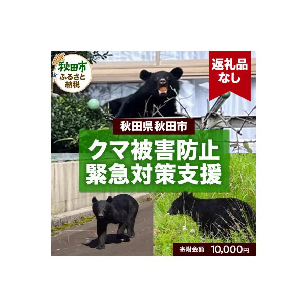 ふるさと納税 秋田市 【返礼品なし】秋田県秋田市 クマ被害防止緊急対策支援 10,000円|15_asy-051001
