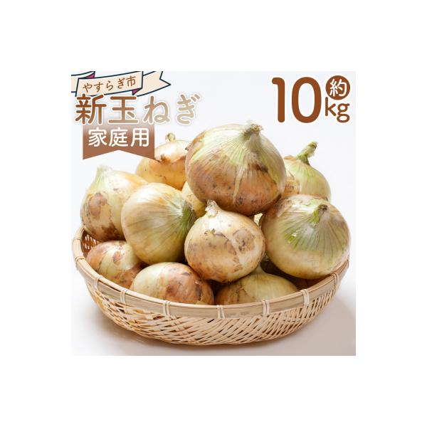 ■お礼品詳細　・内容量：■家庭用 新玉ねぎ 10ｋｇ　・賞味期限：発送日含め1週間程度※到着後はお早めにお召し上がりください　・配送方法：冷蔵配送 ※発送のお知らせメールはお送りできません。　・配送状況について：マイページの「配送状況」は更...
