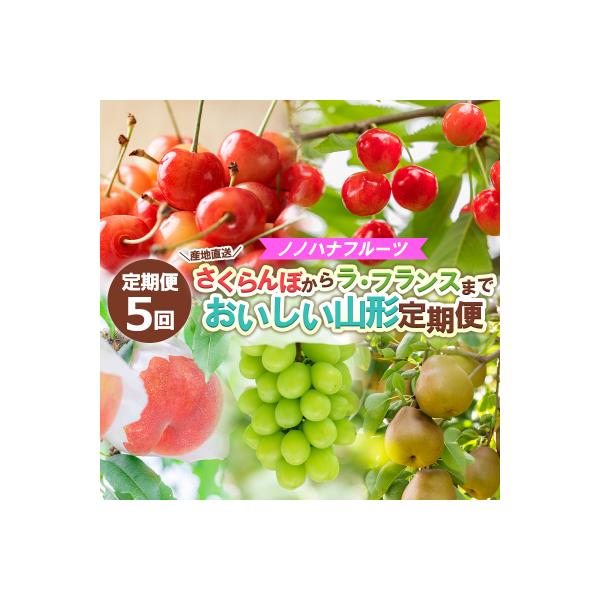 ■お礼品詳細　・配送方法：冷蔵・常温　・事業者名：ノノハナ　・アレルギー情報：もも■お申し込み・配送・その他　・発送時期：2026年06月10日頃〜2026年12月01日頃※状況により配送時期が前後する場合がございます。(着日指定不可)※山...