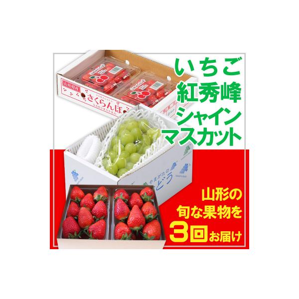 ■お礼品詳細　・配送方法：冷蔵　・事業者名：佐竹物産株式会社■お申し込み・配送・その他　・発送時期：2026年04月15日頃〜2026年10月30日頃※状況により配送時期が前後する場合がございます。(着日指定不可)※山形市では仕様上、お礼品...