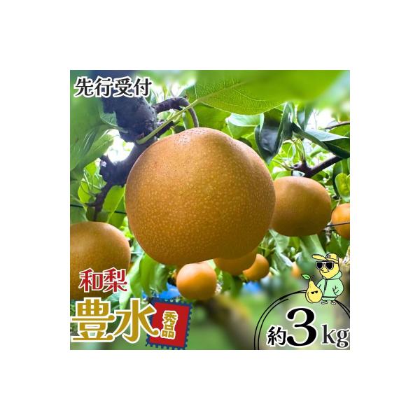 ■お礼品詳細　・事業者：三条ファームWIN　・地場産品基準：1 三条市内において生産されているため。■お申し込み・配送・その他　・発送時期：9月上旬〜10月上旬頃 ※天候や生育状況により、発送開始・終了時期が前後する場合がございます。 ※お...