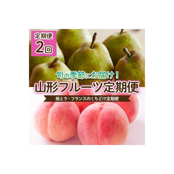 ■お礼品詳細　・配送方法：冷蔵・常温　・事業者名：株式会社森からの恵み■お申し込み・配送・その他　・発送時期：2026年08月10日頃〜2026年12月10日頃※状況により配送時期が前後する場合がございます。(着日指定不可)※山形市では仕様...
