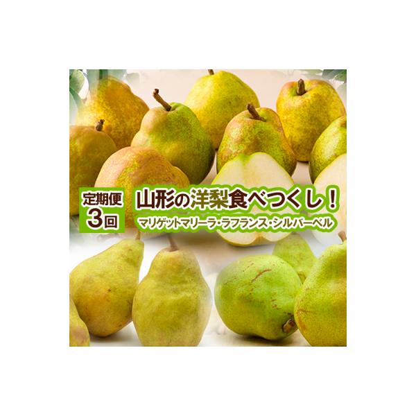 ■お礼品詳細　・配送方法：冷蔵・常温　・事業者名：山形うまいずマーケット■お申し込み・配送・その他　・発送時期：2026年09月05日頃〜2026年12月27日頃※状況により配送時期が前後する場合がございます。(着日指定不可)※山形市では仕...