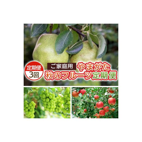 ■お礼品詳細　・配送方法：常温・冷蔵　・事業者名：合同会社C&amp;P　・アレルギー情報：りんご■お申し込み・配送・その他　・発送時期：2026年10月01日頃〜2026年12月31日頃※状況により配送時期が前後する場合がございます。(着...