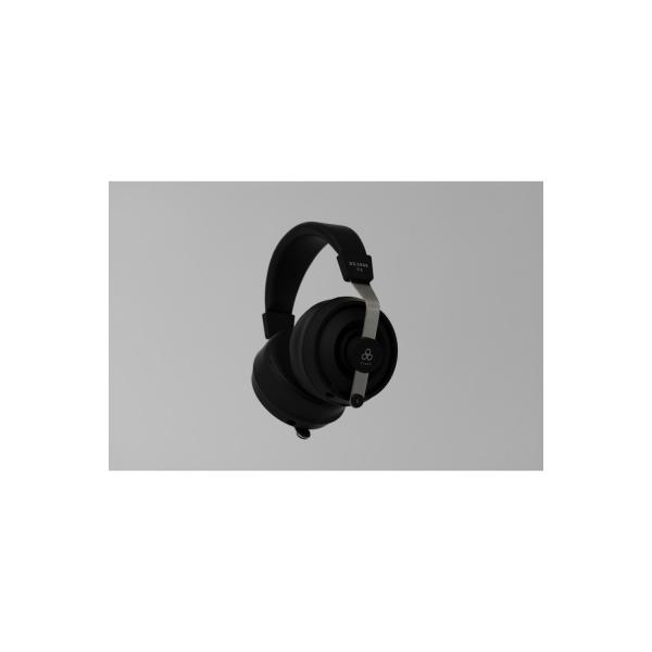 ふるさと納税 川崎市 密閉型ヘッドホン final DX3000CL 高音質/開放感