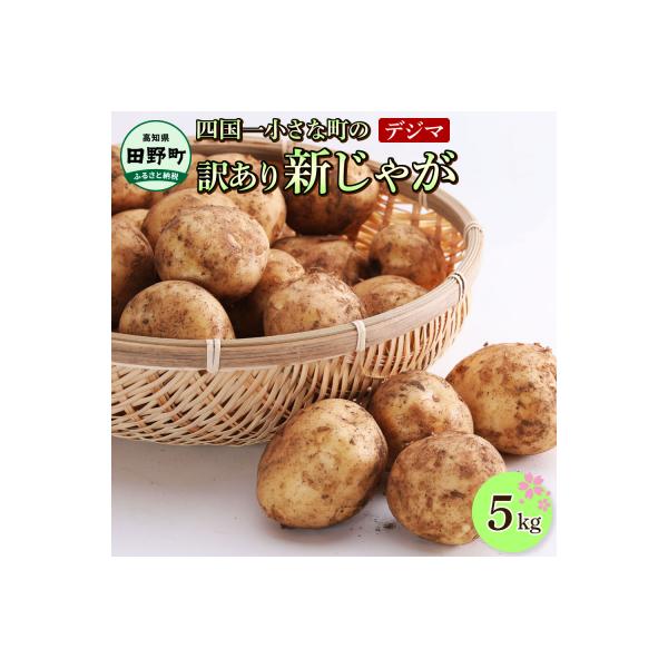 ■お礼品詳細　・容量：訳アリ品　新じゃがいも　５ｋｇ　・消費期限：できるだけお早めにお召し上がりください。 長期保存は控えてください。　・申込期日：予定数量に達し次第終了となります。■お申し込み・配送・その他　・発送時期：ご入金確認後、令和...