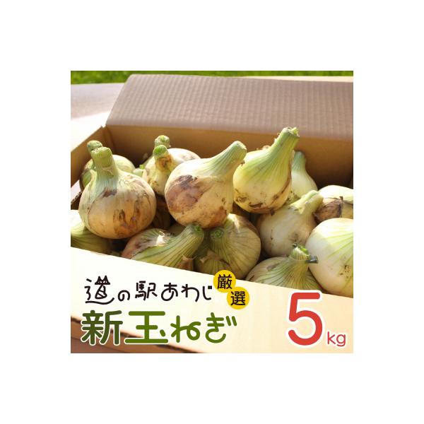 ■お礼品詳細　・配送方法：常温■お申し込み・配送・その他　・発送時期：2026年5月頃(天候や収穫の状況により前後する場合がございます)　・申込受付期間：2026年5月中旬頃迄(天候や収穫の状況により前後する場合がございます)　・配達外のエ...