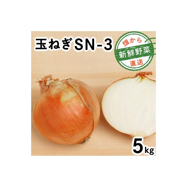 ■お礼品詳細　・原産地：北海道岩見沢産　・内容量：SN-3（5kg）　・消費期限：1〜2カ月　・発送可能な時期：2026年7月中旬〜2026年8月中旬 ※収穫の状況により前後する場合がございます。　・事業者：株式会社　朝山農園■お申し込み・...