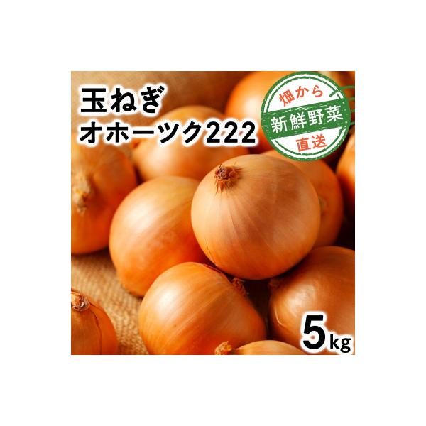 ■お礼品詳細　・原産地：北海道岩見沢産　・内容量：オホーツク222（5kg）　・消費期限：2〜3カ月　・発送可能な時期：2026年8月中旬〜2026年10月中旬 ※収穫の状況により前後する場合がございます。　・事業者：株式会社　朝山農園■お...