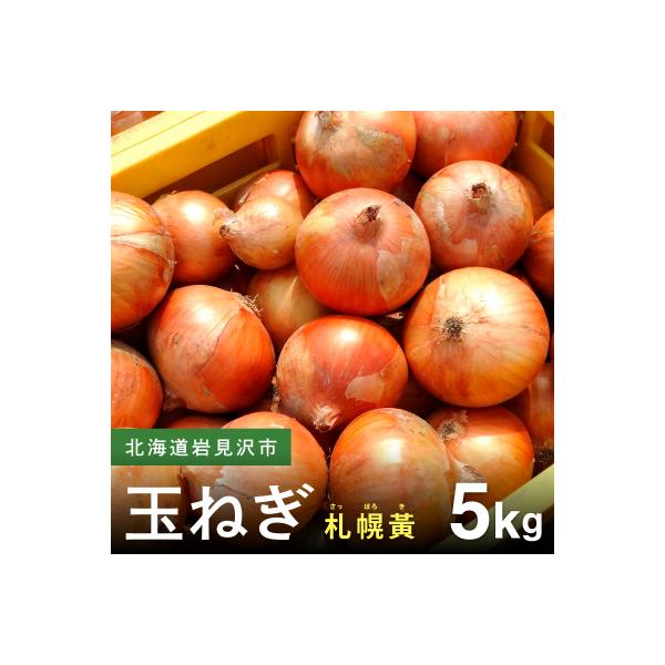 ■お礼品詳細　・原産地：北海道岩見沢産　・内容量：札幌黄（さっぽろき）5kg　・発送可能な時期：2026年9月中旬〜2026年10月中旬 ※収穫の状況により前後する場合がございます。　・配送方法：常温便　・賞味期限：出荷日から30日■お申し...