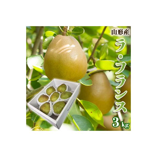 ■お礼品詳細　・配送方法：常温　・事業者名：株式会社スプリングス■お申し込み・配送・その他　・発送時期：2026年12月01日頃〜2026年12月31日頃※状況により配送時期が前後する場合がございます。(着日指定不可)※山形市では仕様上、お...