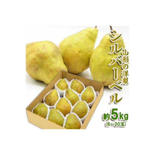 ■お礼品詳細　・配送方法：常温　・事業者名：株式会社スプリングス■お申し込み・配送・その他　・発送時期：2026年11月27日頃〜2026年12月27日頃※状況により配送時期が前後する場合がございます。(着日指定不可)※山形市では仕様上、お...