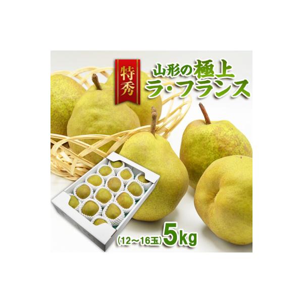 ■お礼品詳細　・配送方法：常温　・事業者名：株式会社スプリングス■お申し込み・配送・その他　・発送時期：2026年11月10日頃〜2026年11月30日頃※状況により配送時期が前後する場合がございます。(着日指定不可)※山形市では仕様上、お...