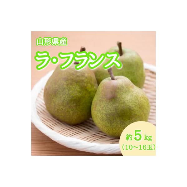 ■お礼品詳細　・配送方法：常温　・事業者名：黒田青果株式会社■お申し込み・配送・その他　・発送時期：2026年10月30日頃〜2026年11月30日頃※状況により配送時期が前後する場合がございます。(着日指定不可)※山形市では仕様上、お礼品...