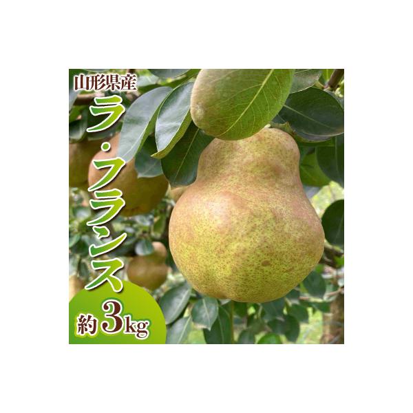 ■お礼品詳細　・配送方法：常温　・事業者名：株式会社ameharu■お申し込み・配送・その他　・発送時期：2026年10月27日頃〜2026年11月27日頃※状況により配送時期が前後する場合がございます。(着日指定不可)※山形市では仕様上、...